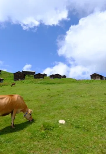 Premium Eastern Black Sea Tour (4 Nights 5 Days)