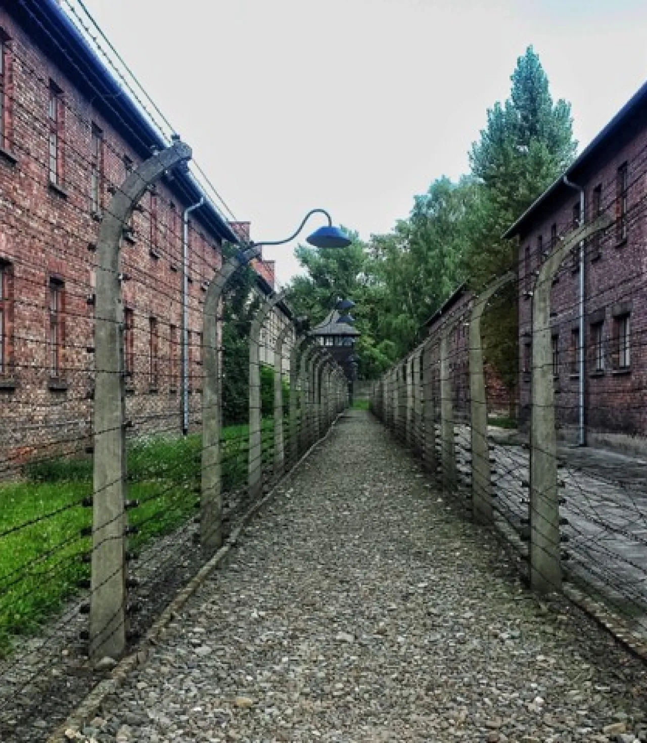 Polonya - Tatras Dağları - Krakow Ve Auschwıtz