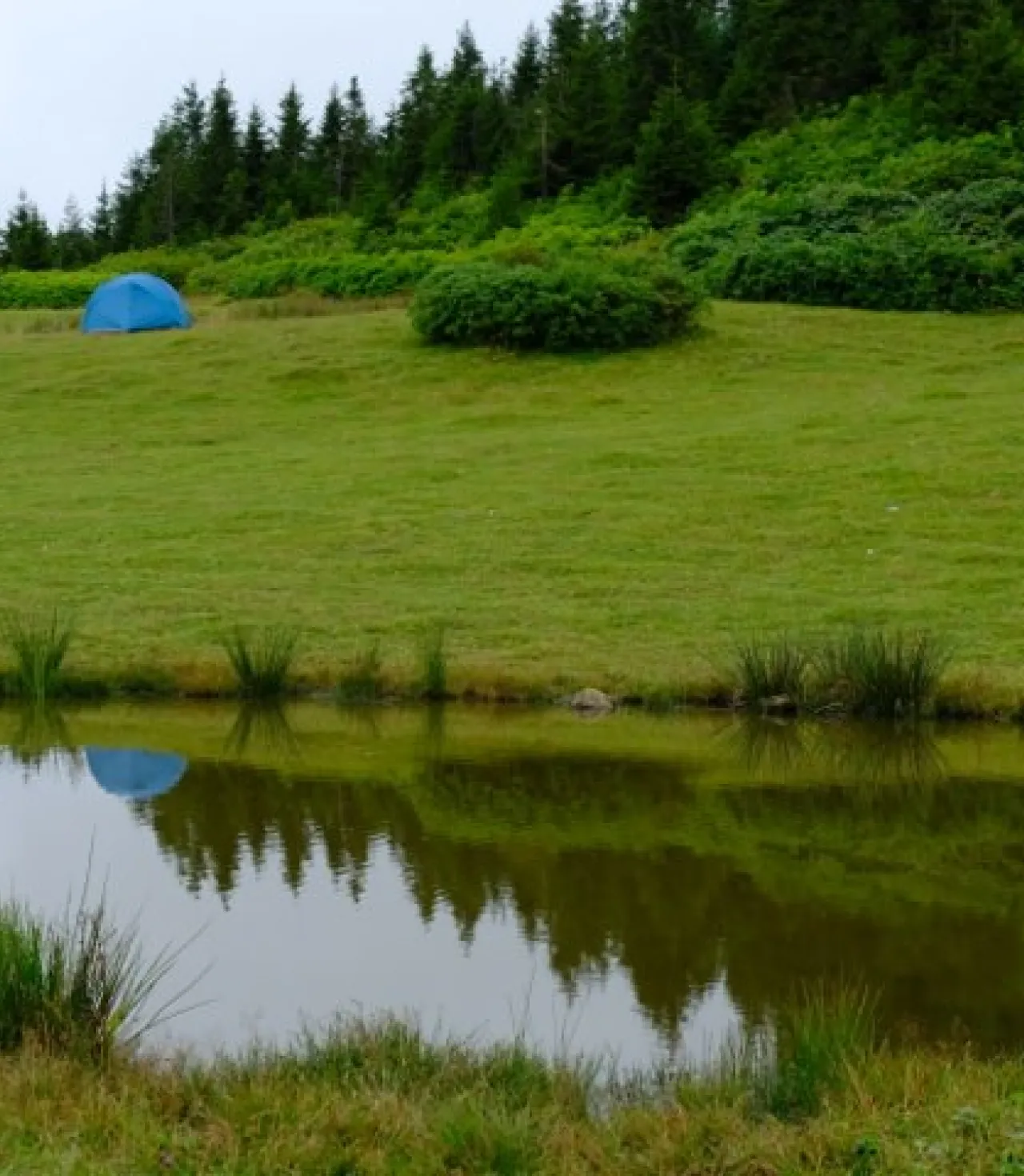 Doğu Karadeniz Yaylaları (3 Gece 4 Gün)