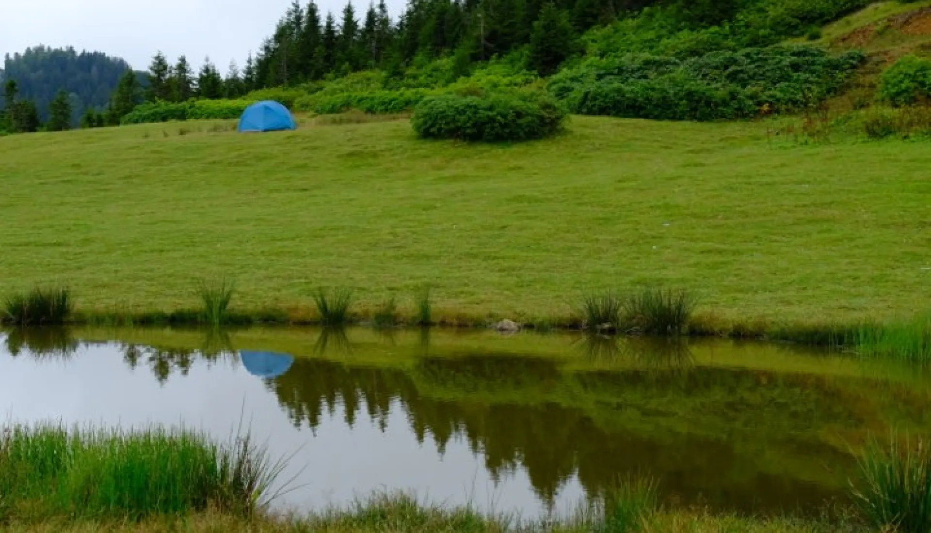 Doğu Karadeniz Yaylaları (3 Gece 4 Gün)