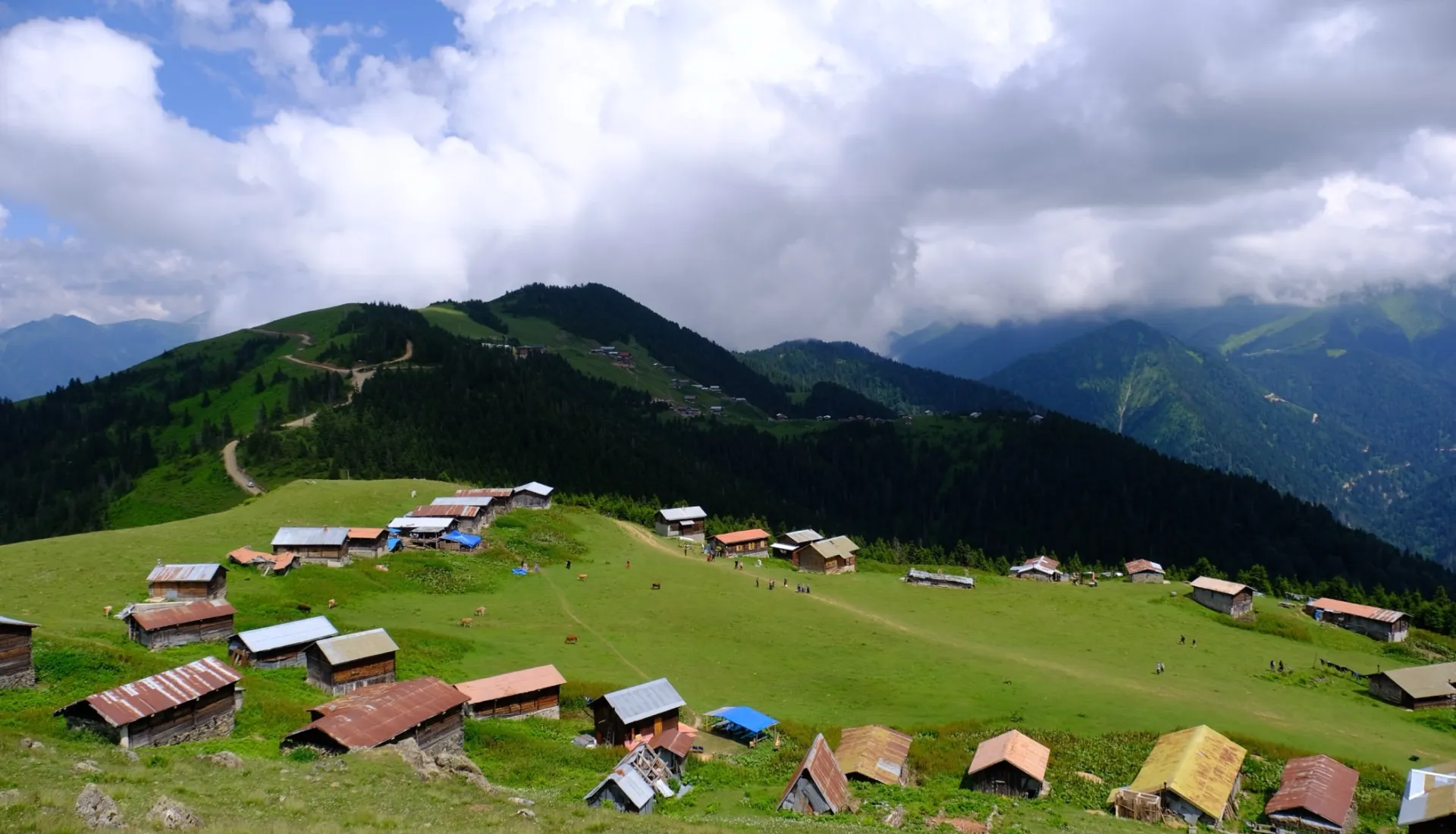 Doğu Karadeniz Yaylaları (3 Gece 4 Gün)