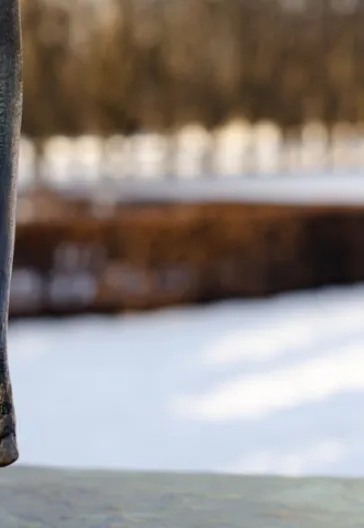 Norveç Fiyortları ve Preikestolen Turu