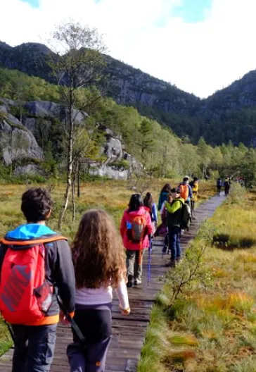 Norveç Fiyortları ve Preikestolen Turu