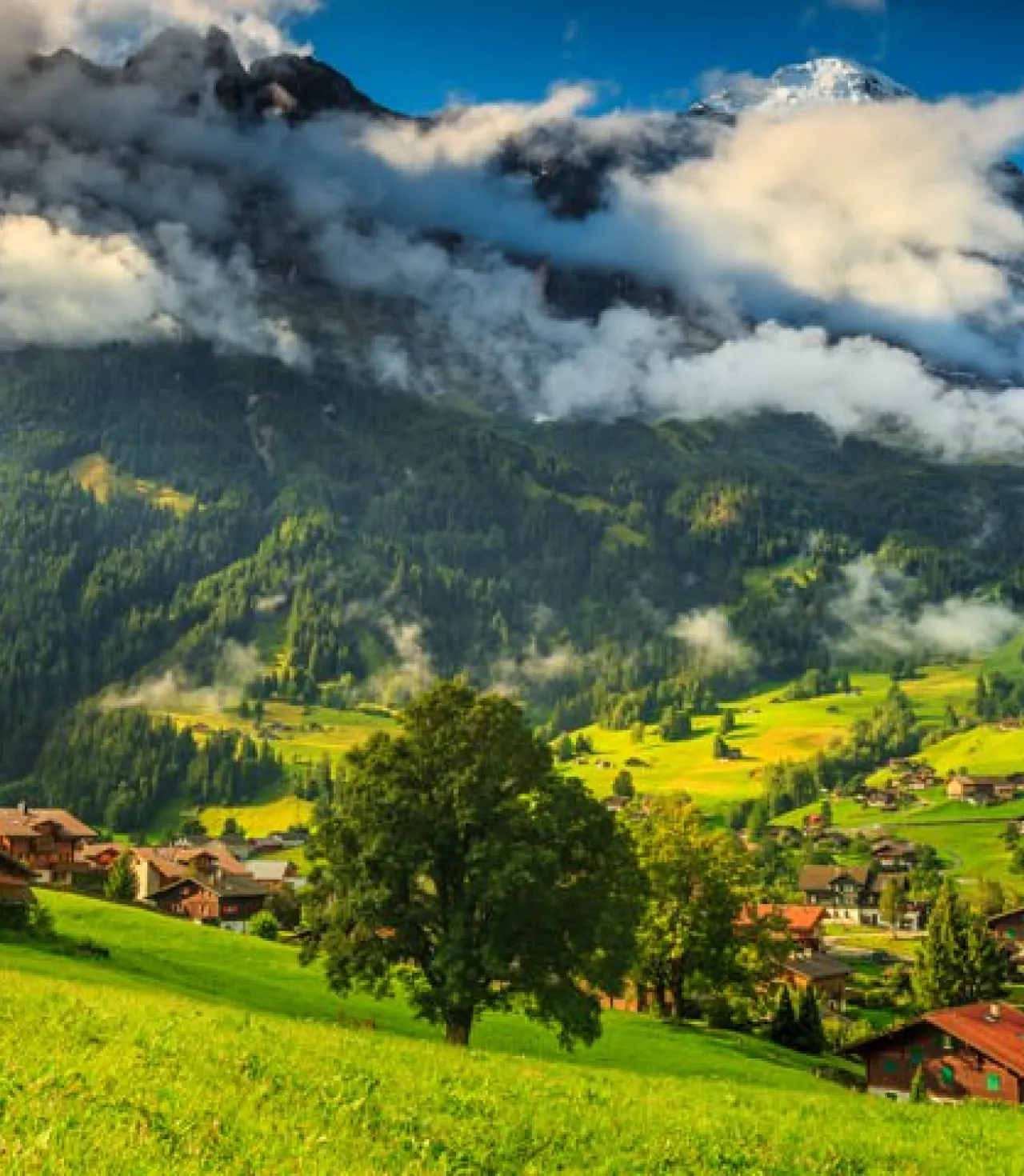 İsviçre Alpleri - Lauterbrunnen Vadisi Turu