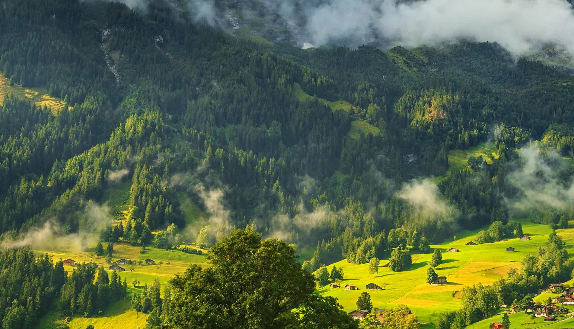 İsviçre Alpleri - Lauterbrunnen Vadisi Turu