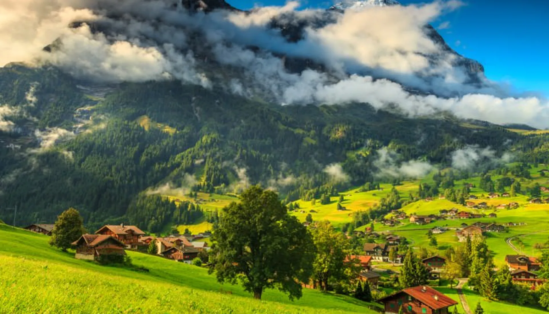 İsviçre Alpleri - Lauterbrunnen Vadisi Turu