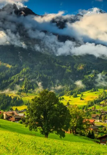İsviçre Alpleri - Lauterbrunnen Vadisi Turu