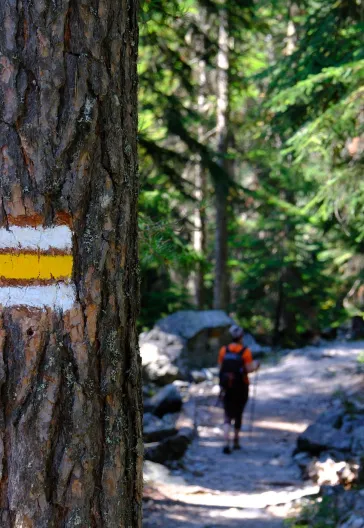 Georgia Adventure: Mestia, Ushguli and Svaneti Tour