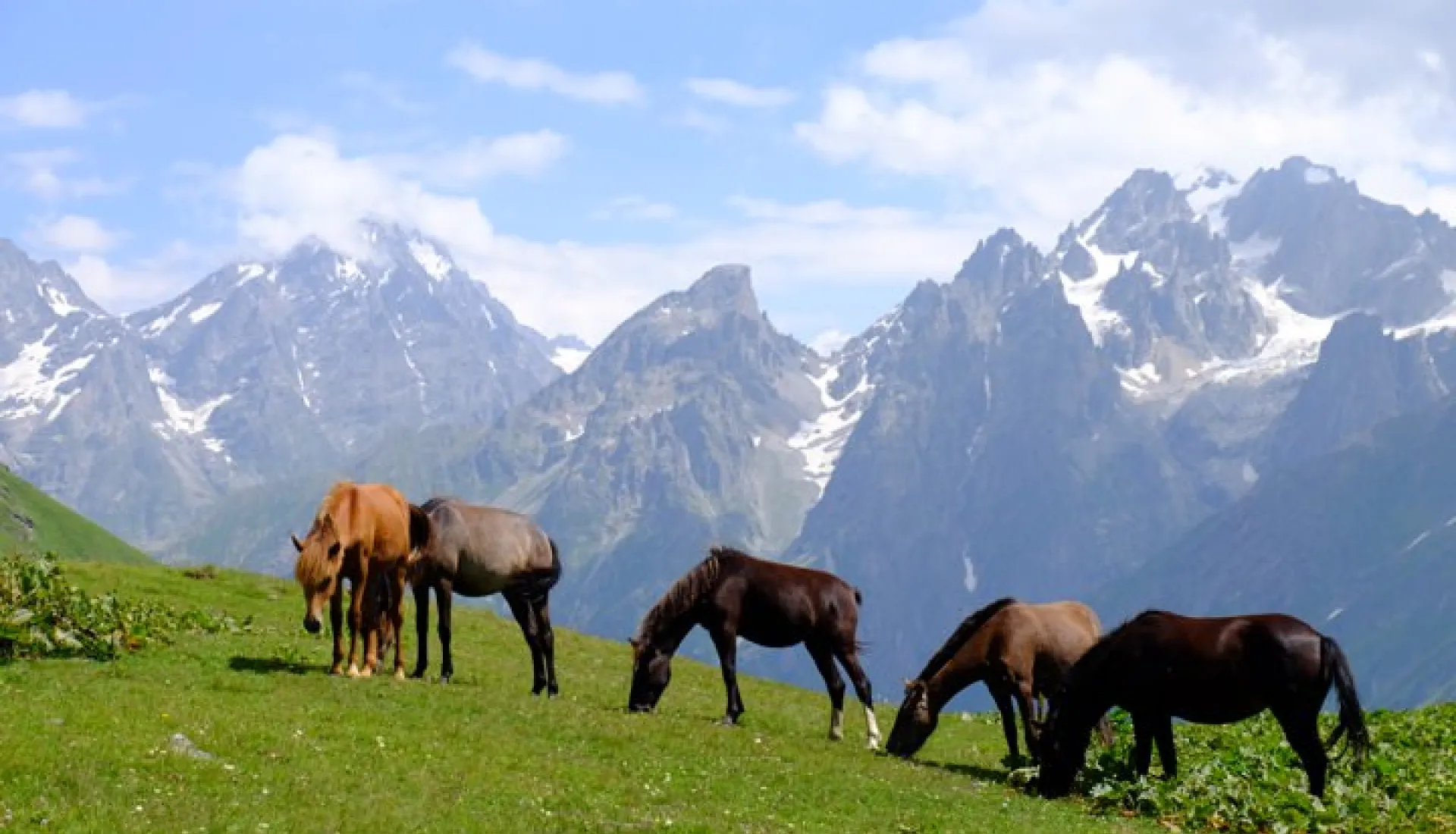 Gürcistan Macerası: Mestia, Ushguli ve Svaneti Turu