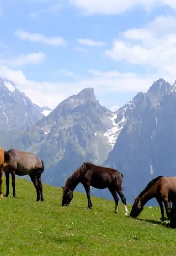 Georgia Adventure: Mestia, Ushguli and Svaneti Tour