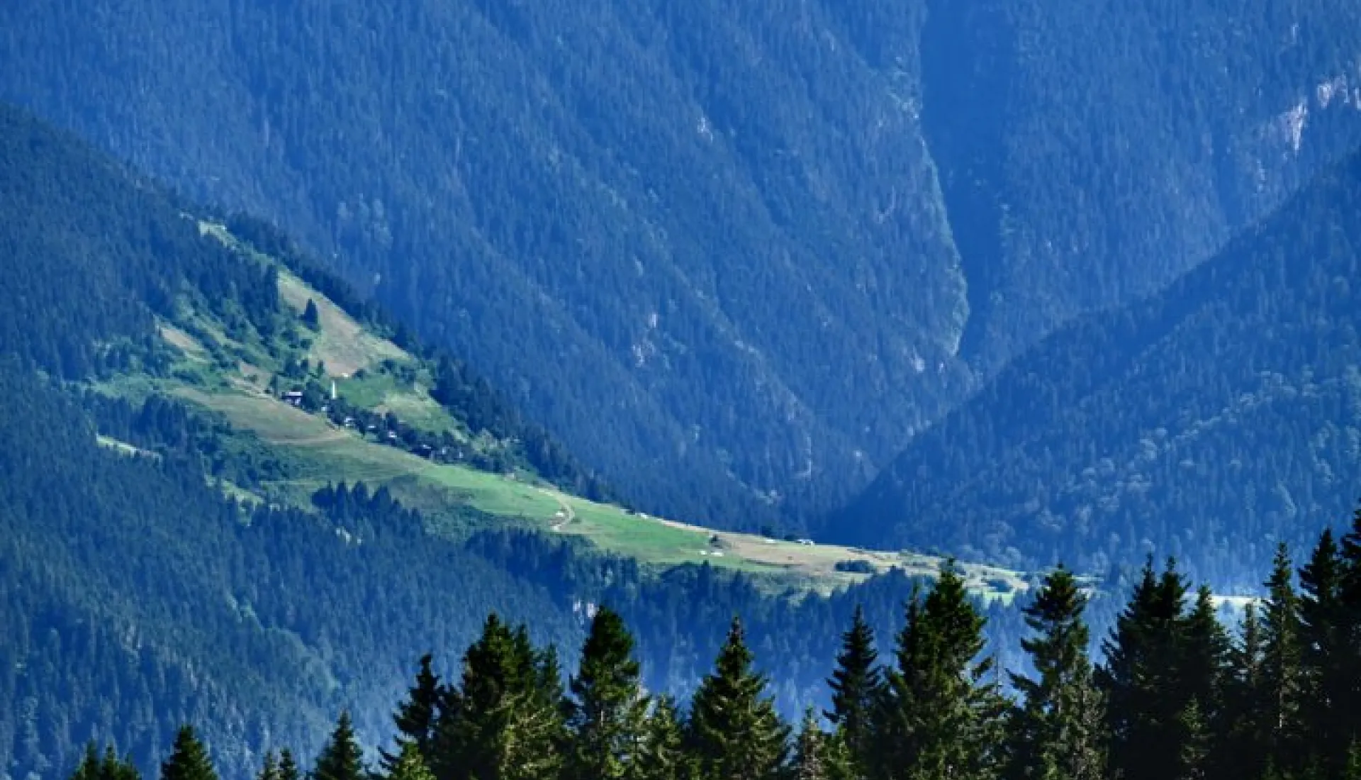 Doğu Karadeniz Yaylaları (3 Gece 4 Gün)