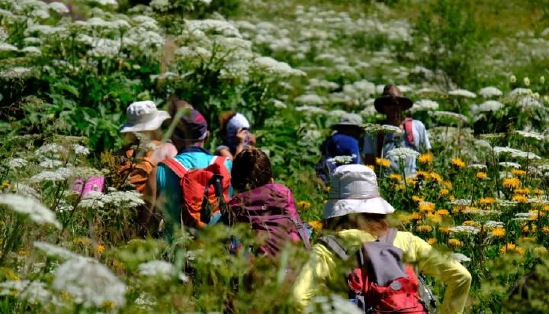 Gürcistan Macerası: Mestia, Ushguli ve Svaneti Turu