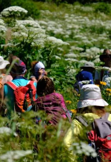 Georgia Adventure: Mestia, Ushguli and Svaneti Tour