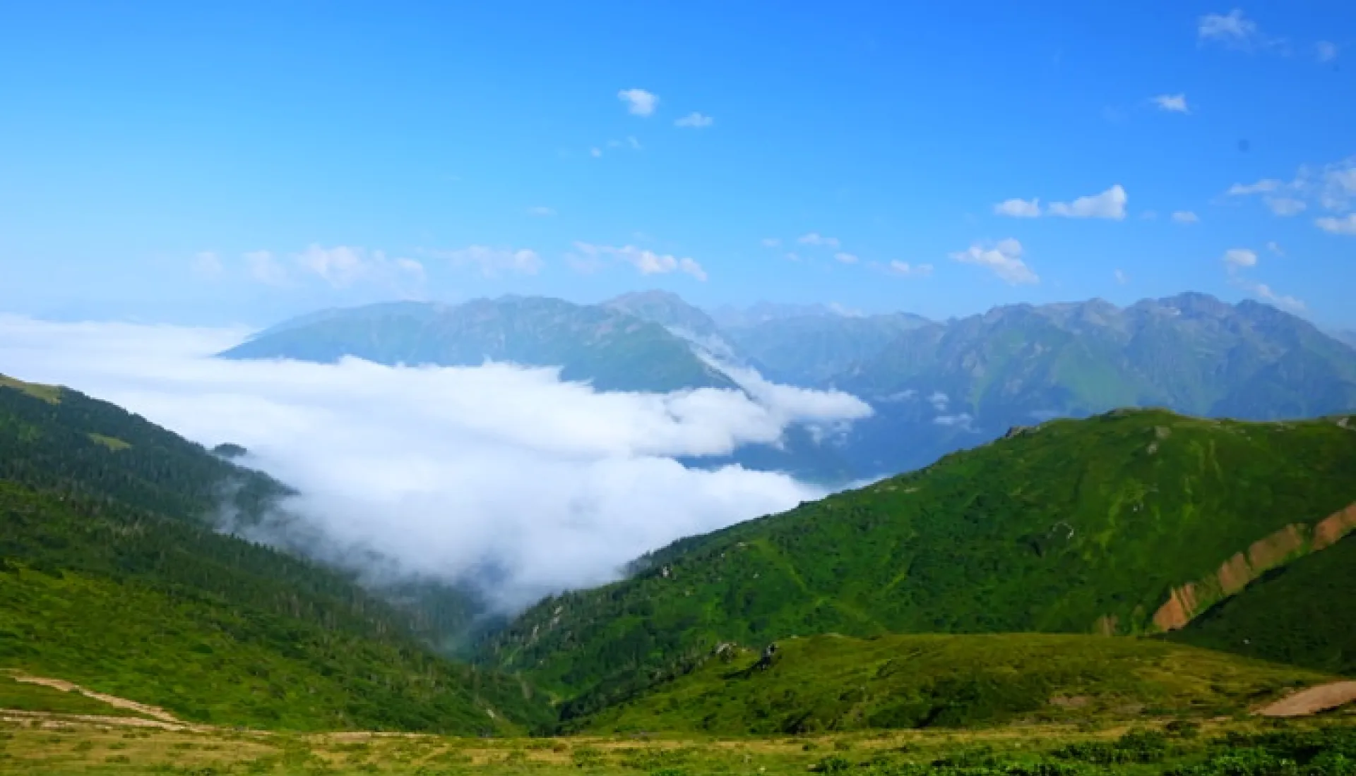 Doğu Karadeniz Yaylaları (3 Gece 4 Gün)