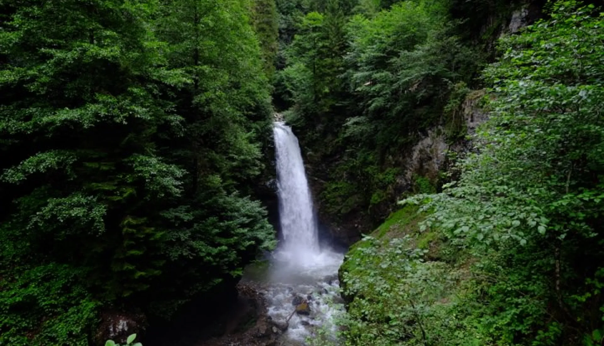 Doğu Karadeniz Yaylaları (3 Gece 4 Gün)