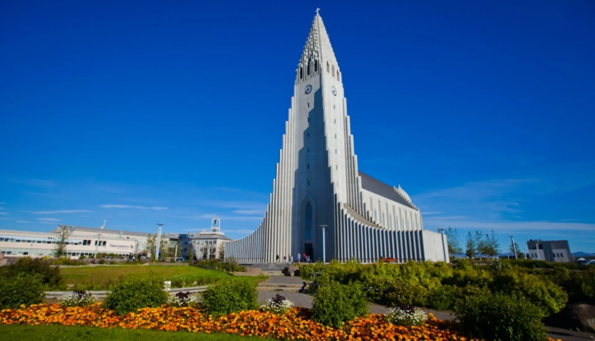 Greenland & Disko Bay Tour