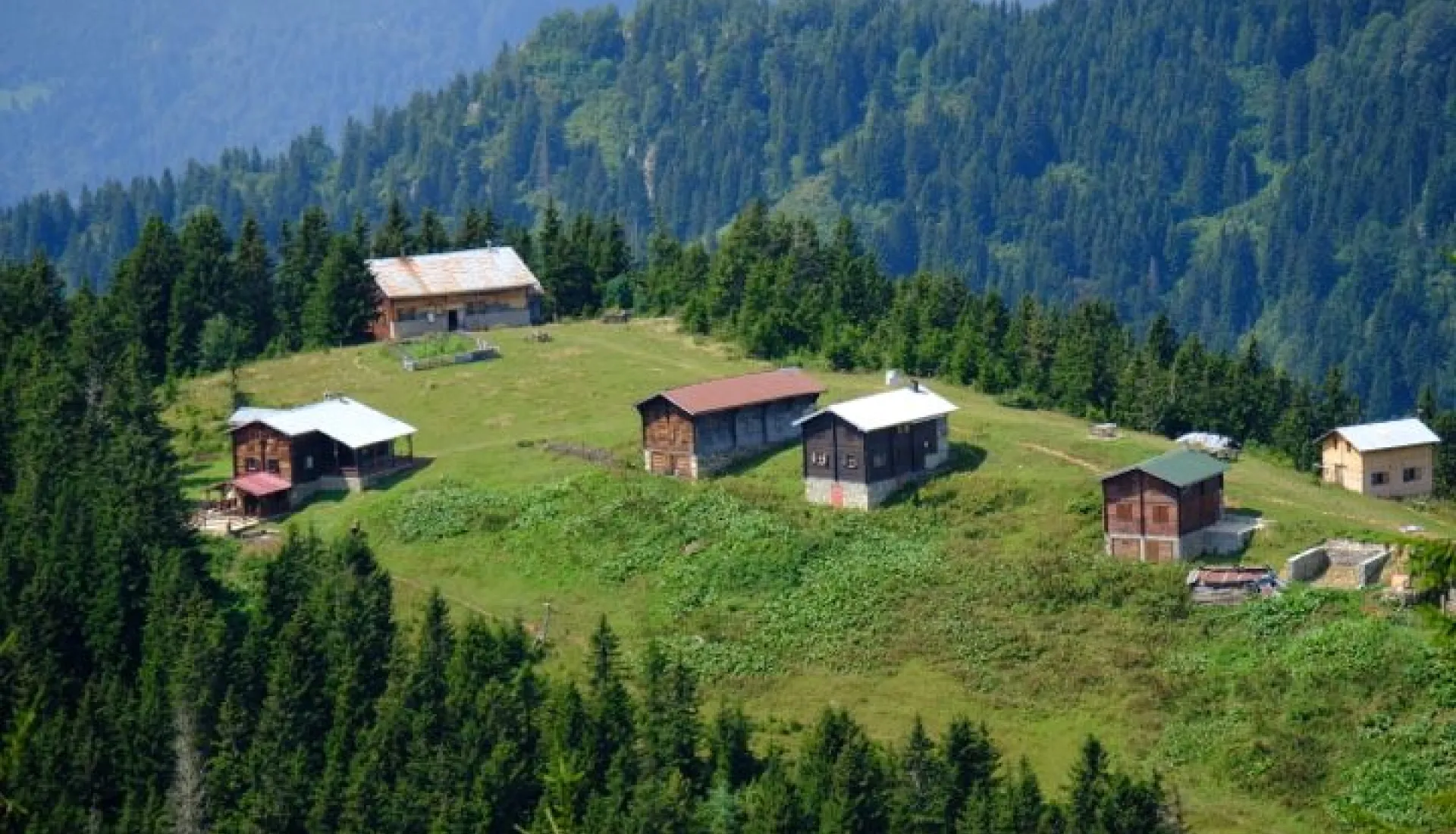 Doğu Karadeniz Yaylaları (3 Gece 4 Gün)