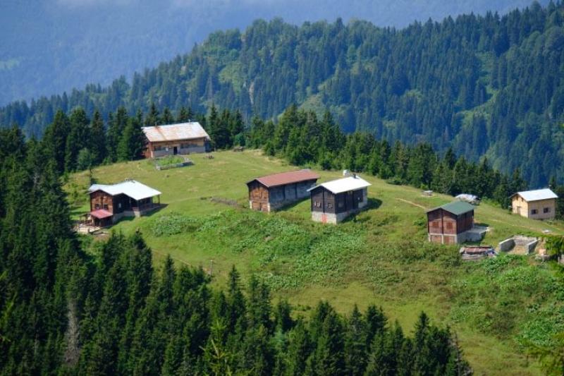 Doğu Karadeniz Yaylaları (3 Gece 4 Gün)