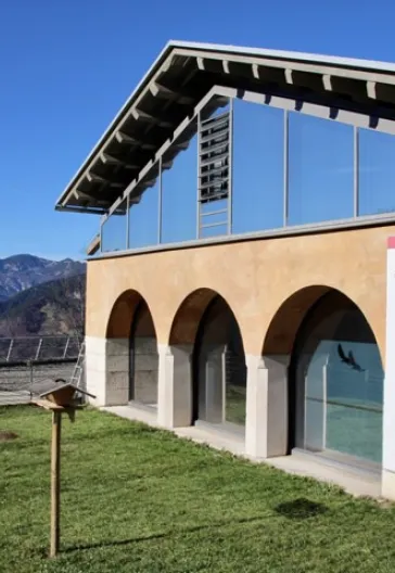 Austrian Alps Tyrol and Neuschwanstein