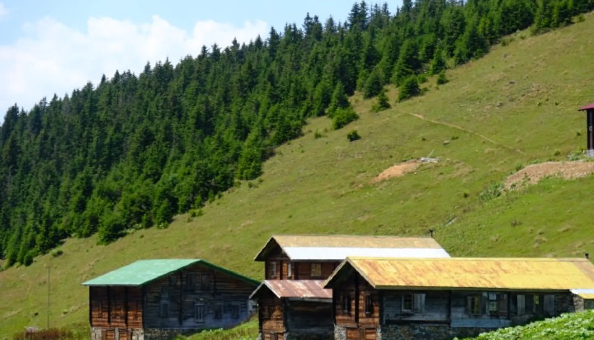Doğu Karadeniz Yaylaları (3 Gece 4 Gün)