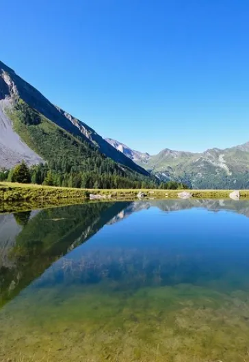 Austrian Alps Tyrol and Neuschwanstein
