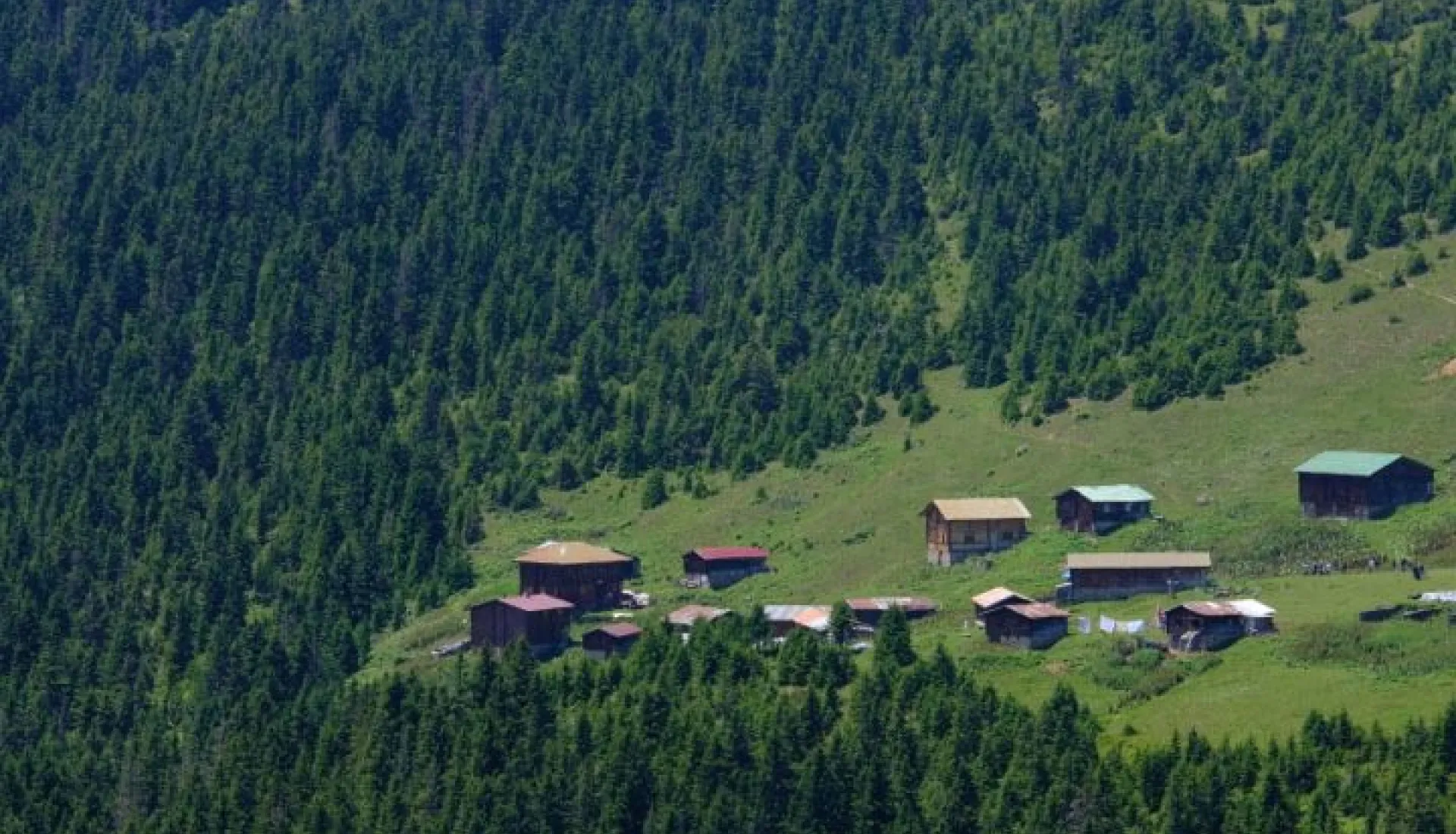 Doğu Karadeniz Yaylaları (3 Gece 4 Gün)
