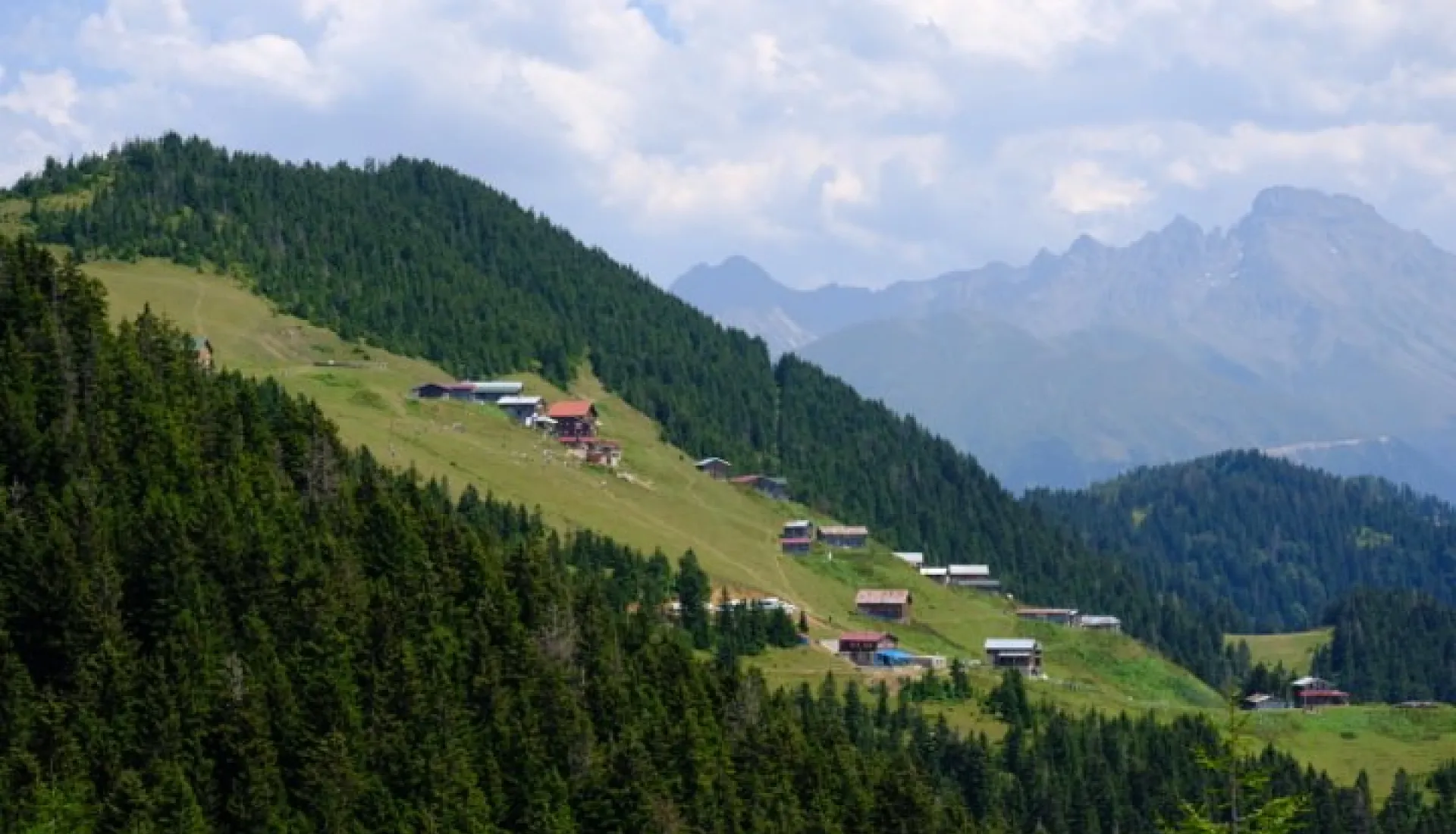 Doğu Karadeniz Yaylaları (3 Gece 4 Gün)
