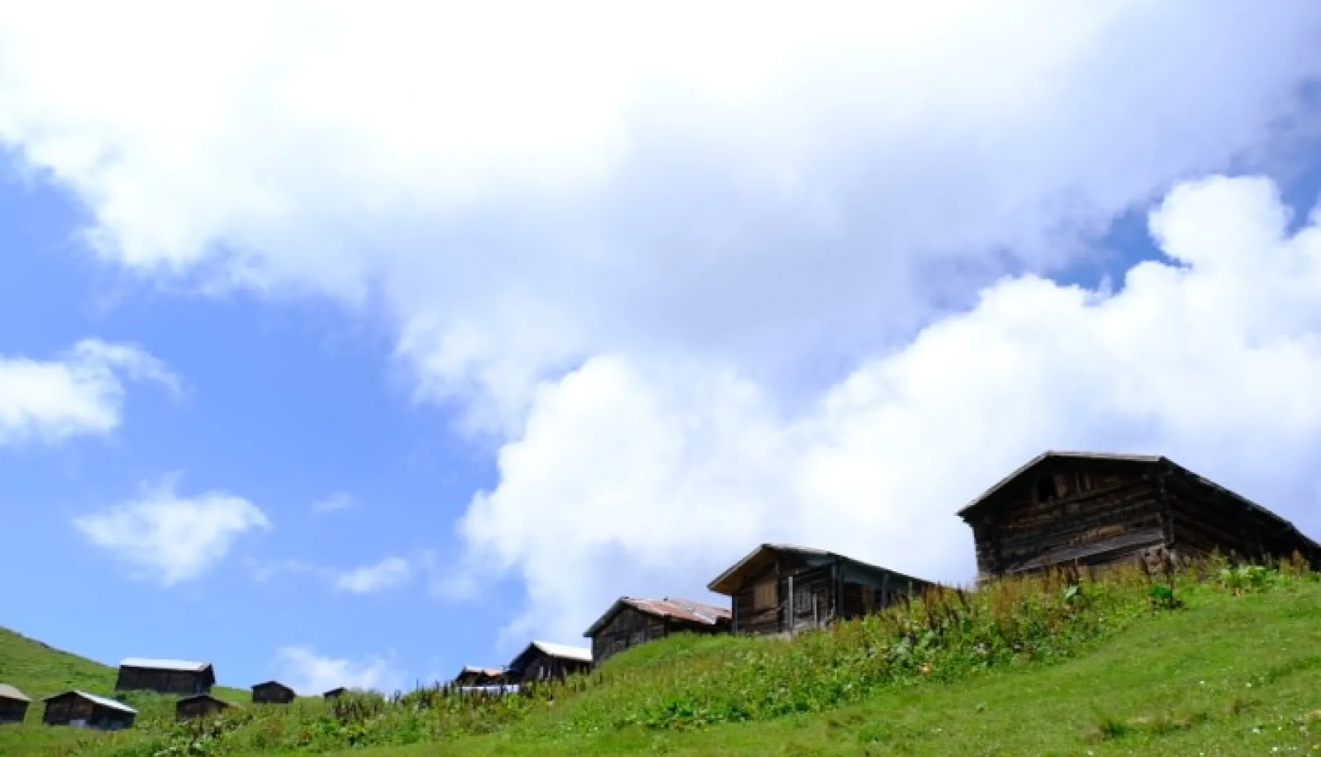 Doğu Karadeniz Yaylaları (3 Gece 4 Gün)
