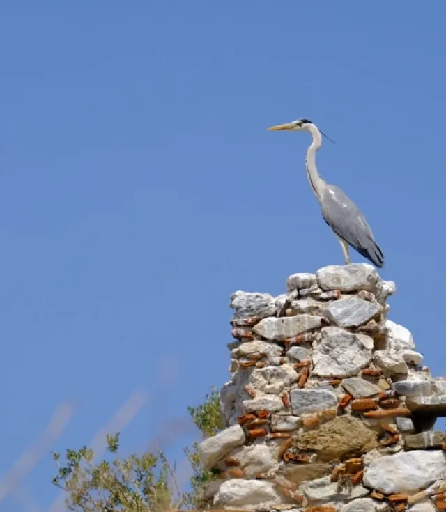 Bafa Lake Latmos Herakleia