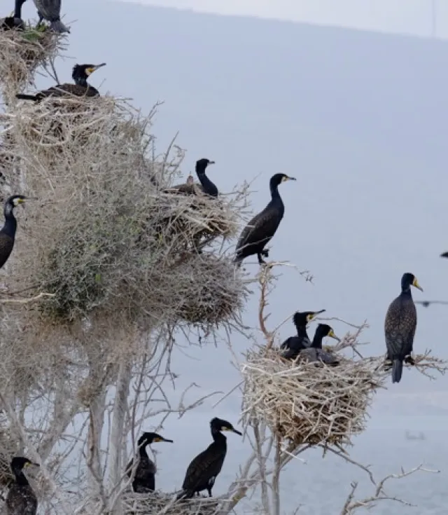 Bafa Lake Latmos Herakleia