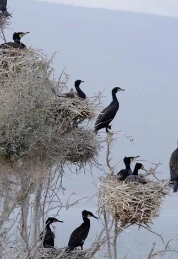 Bafa Lake Latmos Herakleia
