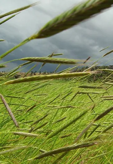 Frig Vadisi'nde Trekking Turu