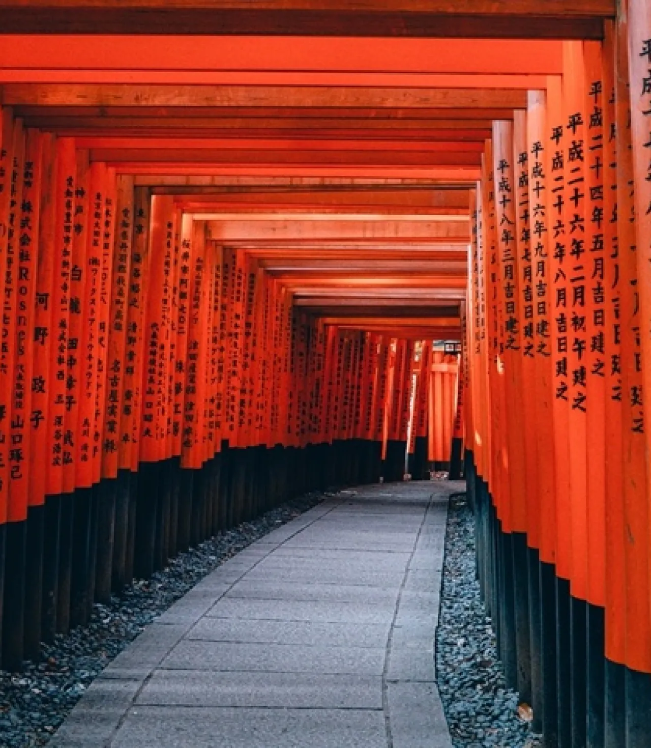 Japonya Turu: Tokyo, Kyoto ve Fuji Dağı'na Yolculuk