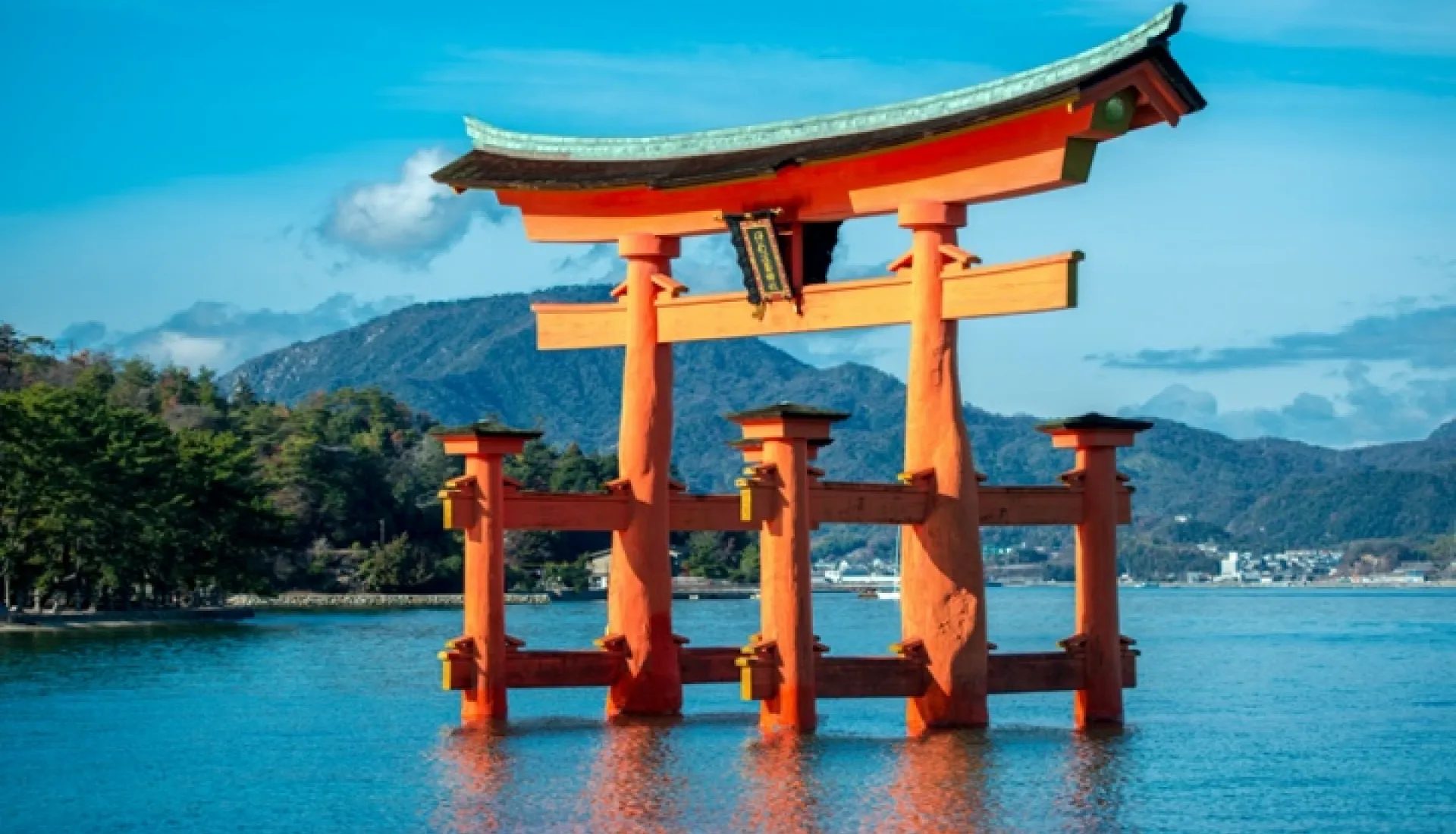 Japonya Turu: Tokyo, Kyoto ve Fuji Dağı'na Yolculuk
