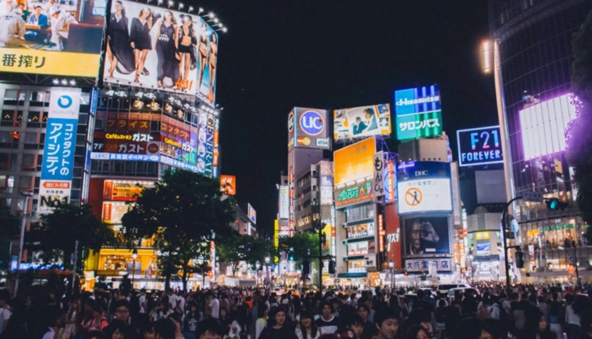 Japonya Turu: Tokyo, Kyoto ve Fuji Dağı'na Yolculuk