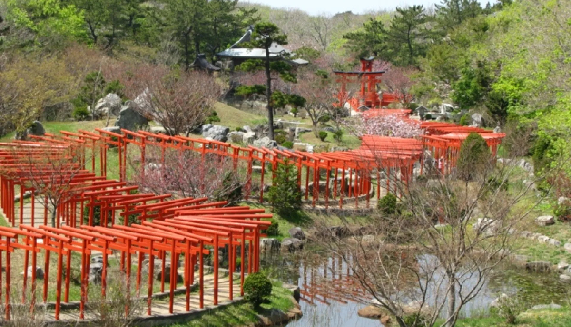 Japonya Turu: Tokyo, Kyoto ve Fuji Dağı'na Yolculuk
