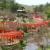 Japan-Reise: Eine Reise nach Tokio, Kyoto und zum Fuji-Berg