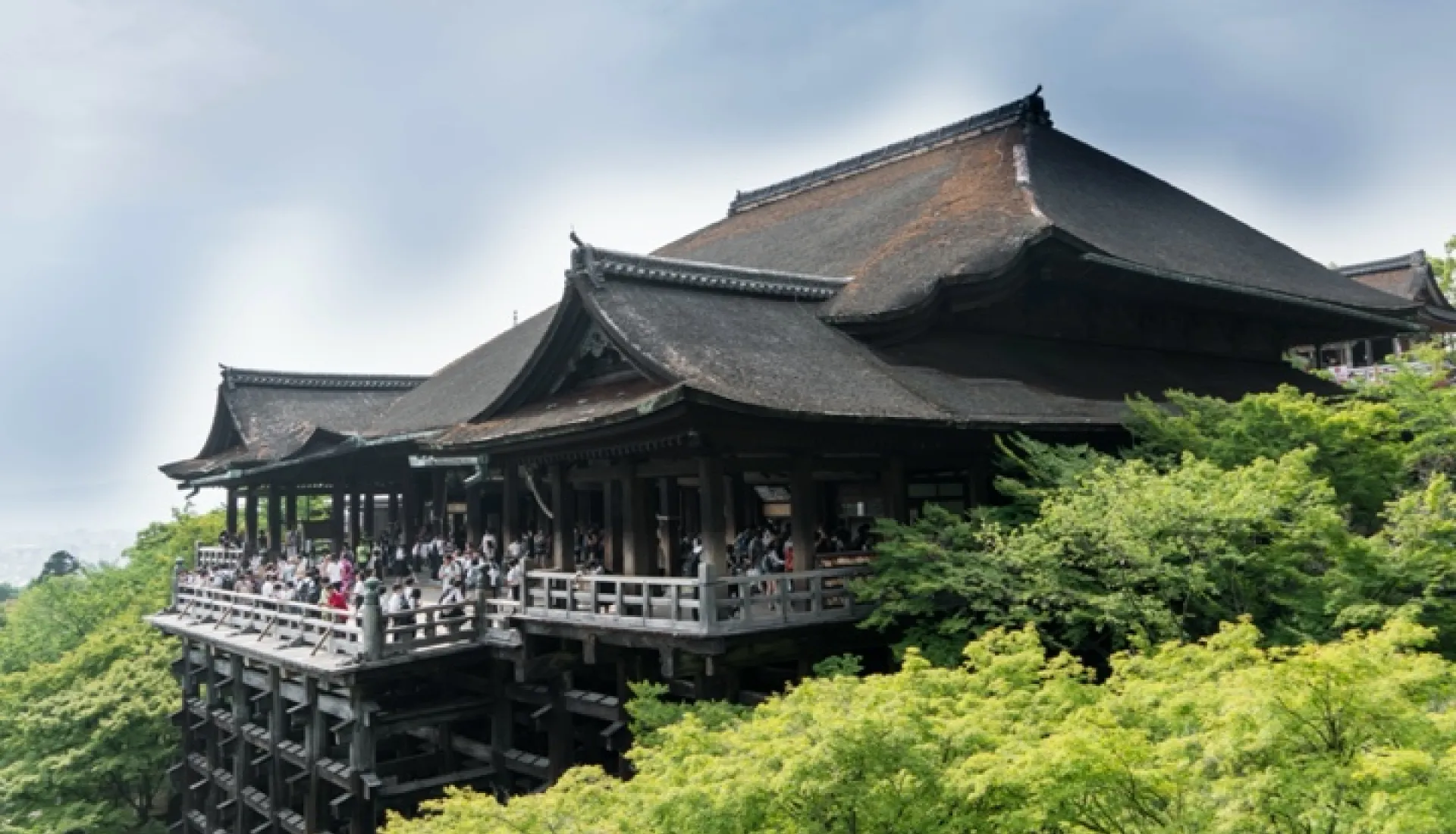 Japonya Turu: Tokyo, Kyoto ve Fuji Dağı'na Yolculuk