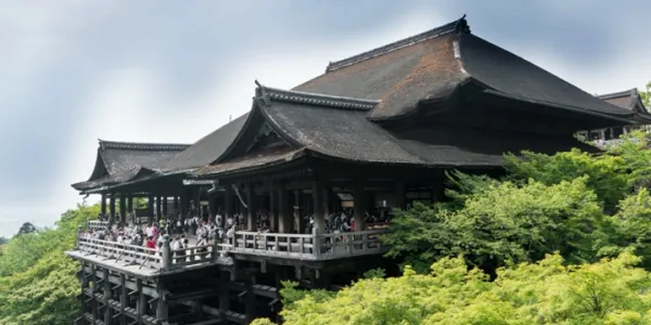 Japonya Turu: Tokyo, Kyoto ve Fuji Dağı'na Yolculuk