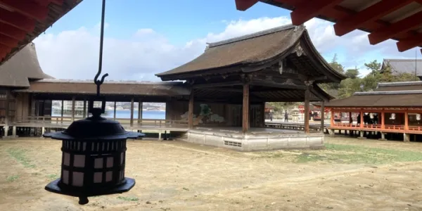 Japonya Turu: Tokyo, Kyoto ve Fuji Dağı'na Yolculuk