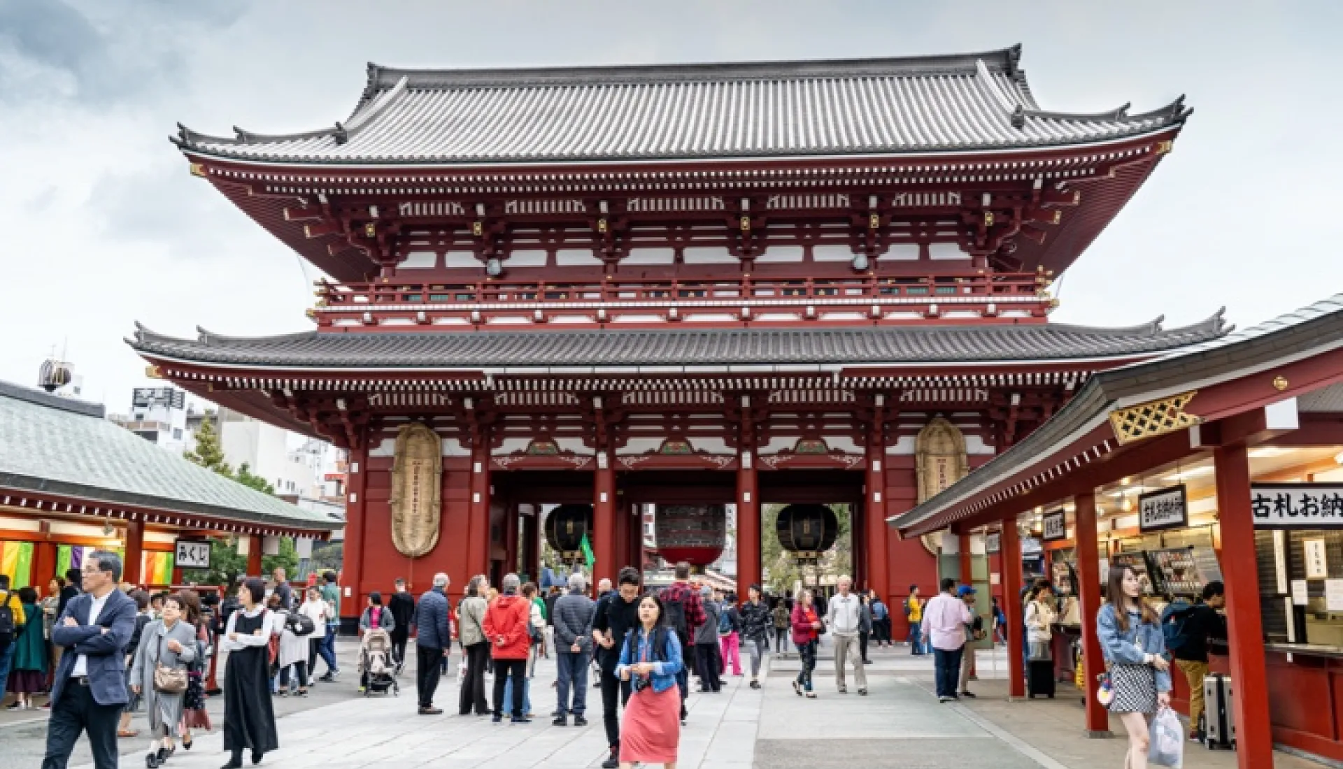 Japonya Turu: Tokyo, Kyoto ve Fuji Dağı'na Yolculuk