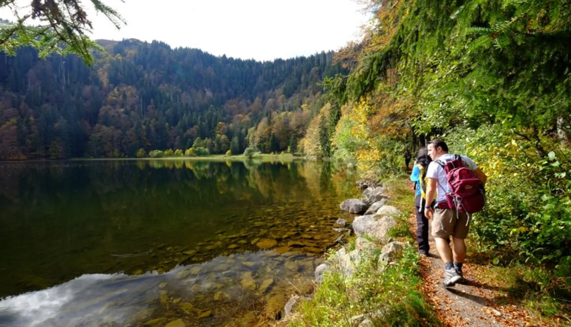 Alsace Ve Karaorman