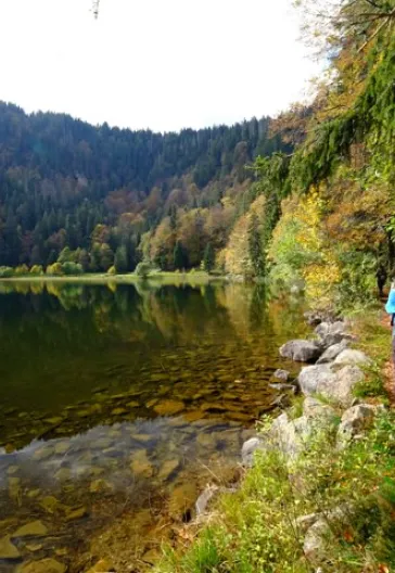 Alsace and the Black Forest