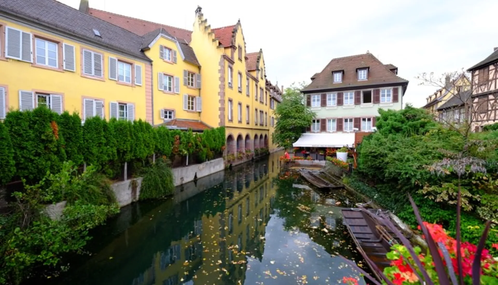 Alsace Ve Karaorman
