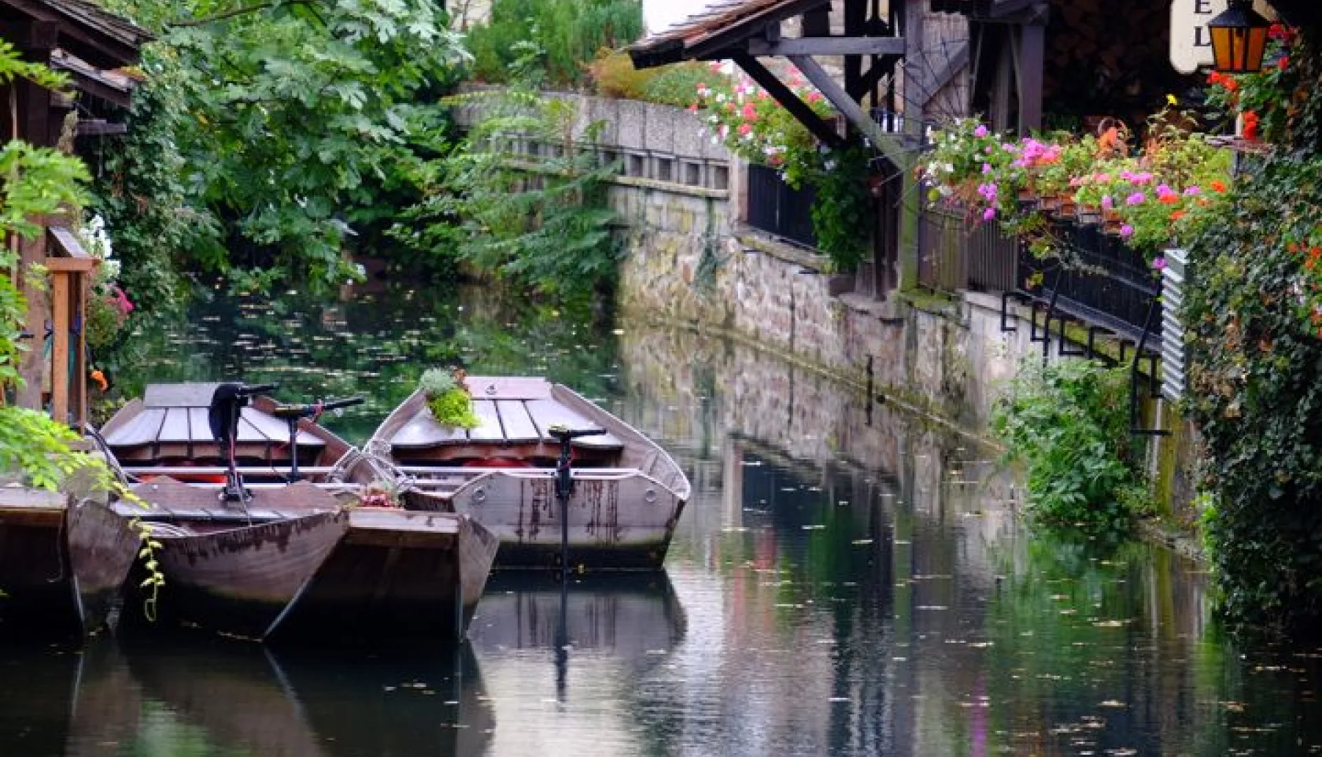 Alsace Ve Karaorman