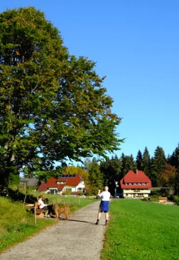 Alsace and the Black Forest