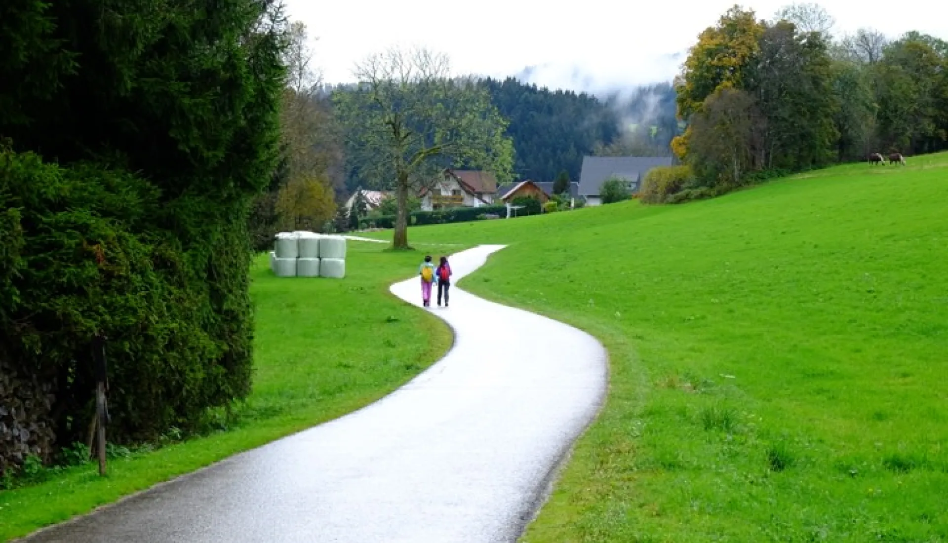 Alsace Ve Karaorman