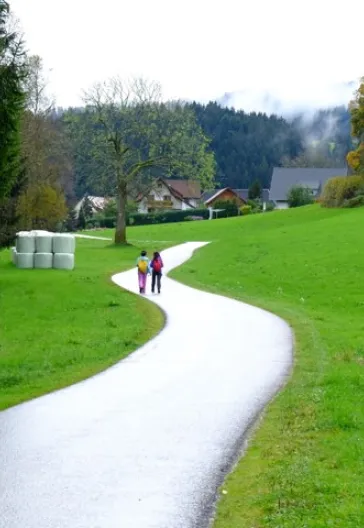Alsace and the Black Forest