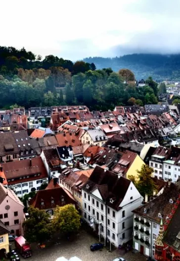 Alsace and the Black Forest