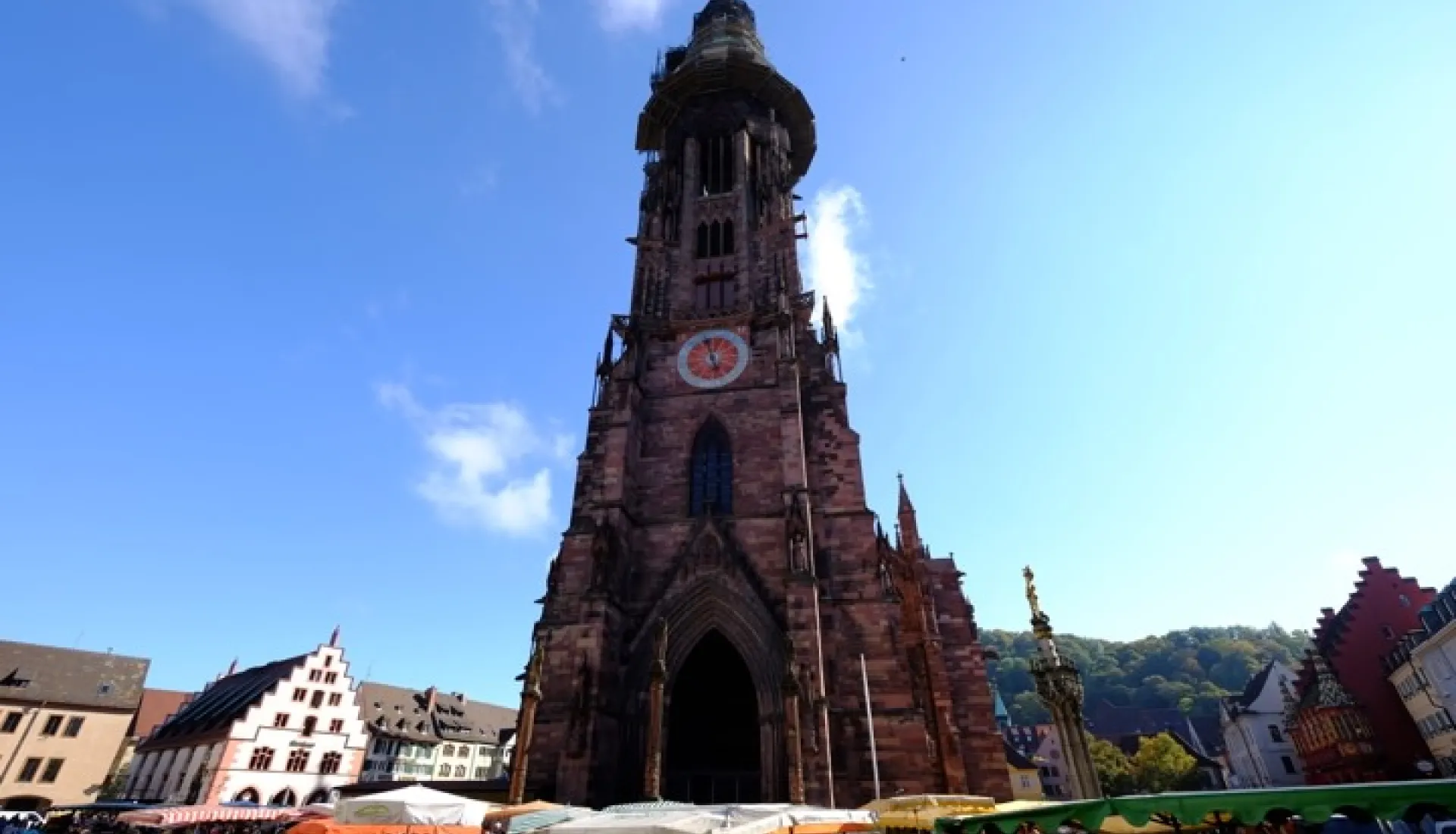 Alsace Ve Karaorman